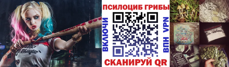 Псилоцибиновые грибы MAGIC MUSHROOMS  где продают наркотики  Суджа 